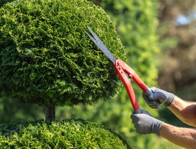 garden landscaping ideas