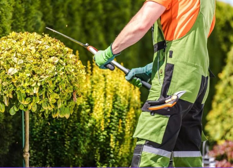 Ultimate Garden Landscaping Ideas for a Beautiful and Functional Garden